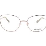 ARM ANTHRAX 1848 C1 MET COMP 53-18-140 FX