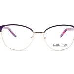ARM GAUTHIER CFS1759 C1 MET COMP 53-17-140 F
