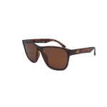 SOL CLOONEY SP6751 C1 PC COMP BROWN - Imagen 3